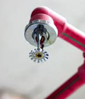 Fire Protection Service
